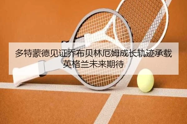 多特蒙德见证乔布贝林厄姆成长轨迹承载英格兰未来期待