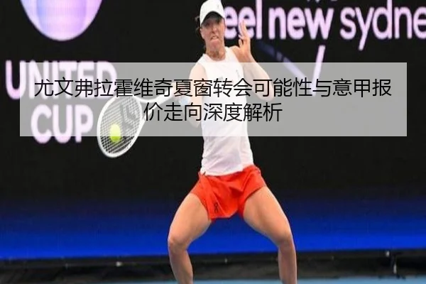 尤文弗拉霍维奇夏窗转会可能性与意甲报价走向深度解析